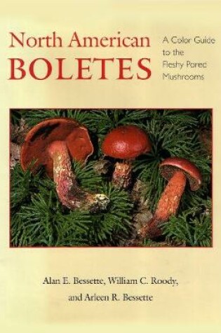 Cover of North American Boletes