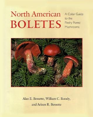 Book cover for North American Boletes