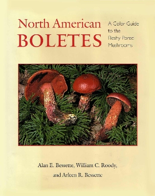 Book cover for North American Boletes