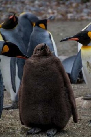 Cover of Fluffy Brown Oakum Boy Young King Penguin Journal