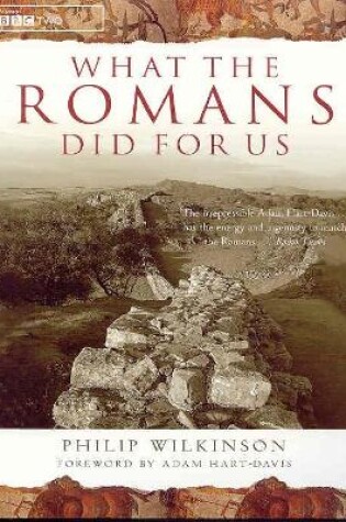 Cover of What the Romans Did for Us
