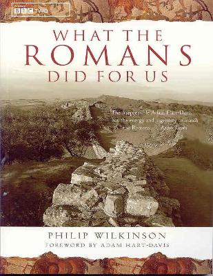 Book cover for What the Romans Did for Us