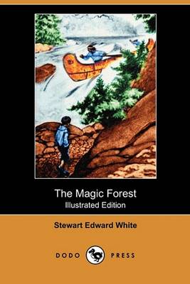 Book cover for The Magic Forest(Dodo Press)