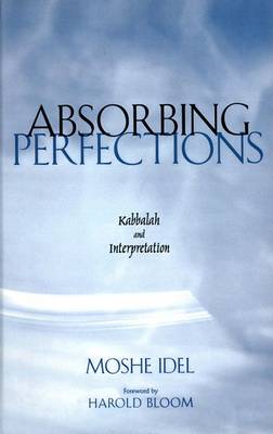 Book cover for Absorbing Perfections