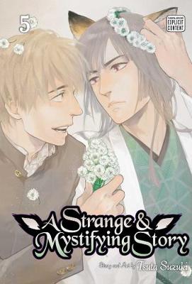 Cover of A Strange & Mystifying Story, Vol. 5