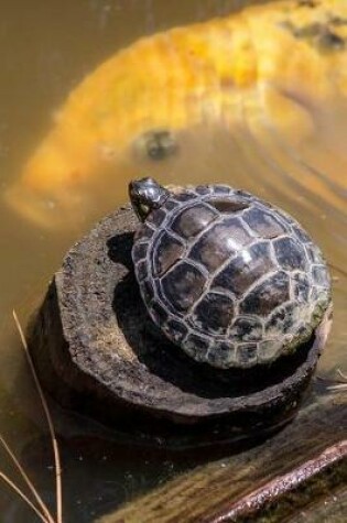 Cover of Little Turtle on a Stump and a Fish in the Pond Journal