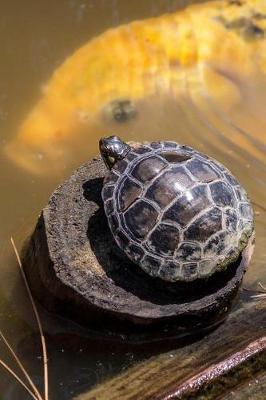 Book cover for Little Turtle on a Stump and a Fish in the Pond Journal