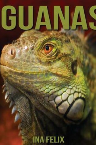 Cover of Iguanas