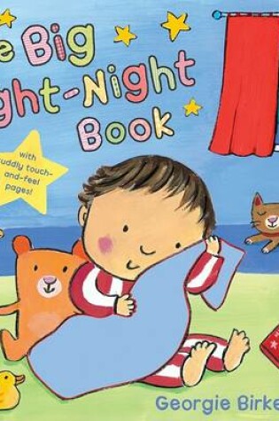 Cover of The Big Night-Night Book