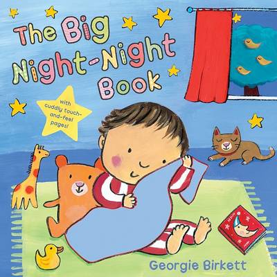 Book cover for The Big Night-Night Book