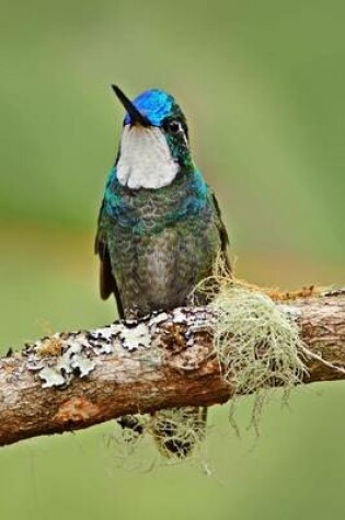 Cover of White-Throated Mountain Gem Hummingbird Journal