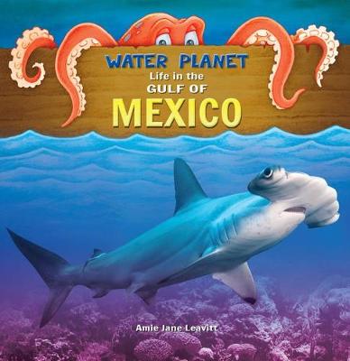 Cover of Gulf of Mexico