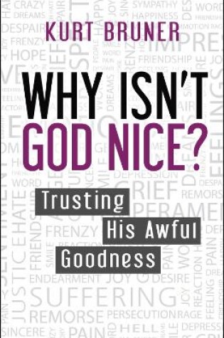 Cover of Why Isn't God Nice?