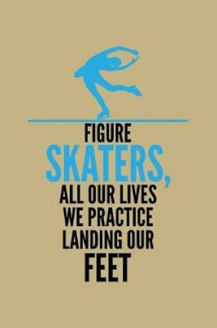Cover of Skaters,