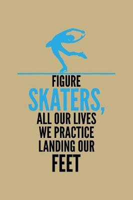 Book cover for Skaters,