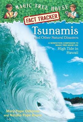 Book cover for Tsunamis and Other Natural Disasters