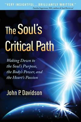 Book cover for The Soul's Critical Path