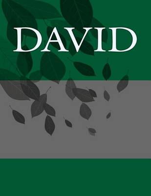 Book cover for David