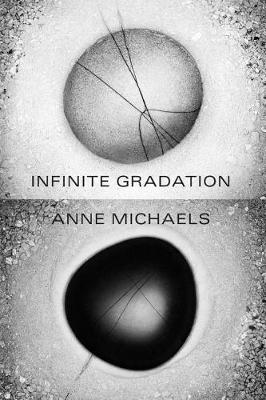 Book cover for Infinite Gradation