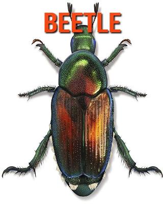 Book cover for Beetle