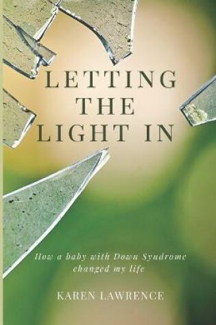 Cover of Letting the Light In