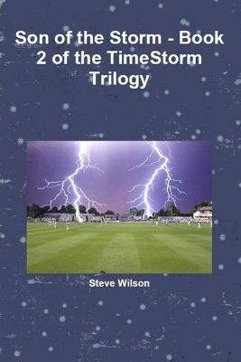 Book cover for Son of the Storm - The Timestorm Trilogy Book 2