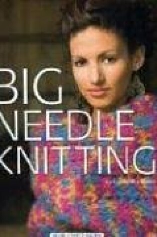 Cover of Big Needle Knitting