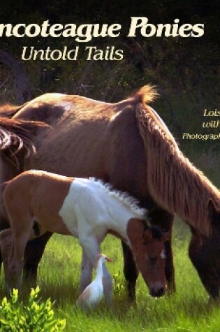 Cover of Chincoteague Ponies