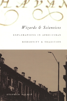 Book cover for Wizards and Scientists