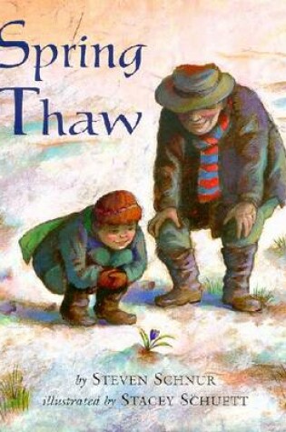 Cover of Spring Thaw