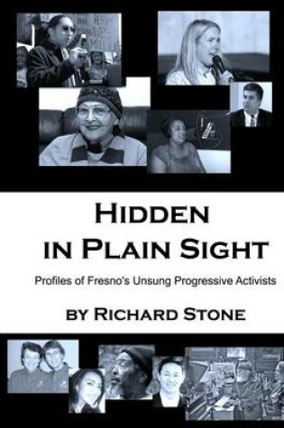 Cover of Hidden in Plain Sight