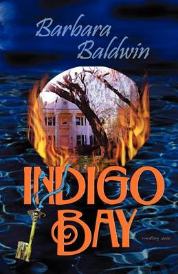 Book cover for Indigo Bay