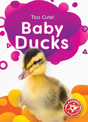 Book cover for Baby Ducks