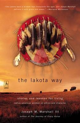 Book cover for The Lakota Way