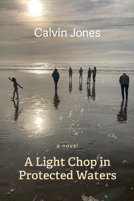 Book cover for A Light Chop in Protected Waters