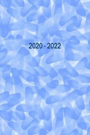 Cover of 2020 - 2022