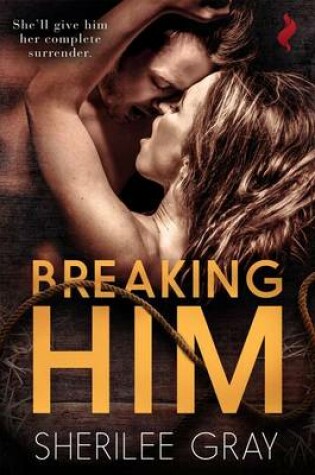 Cover of Breaking Him