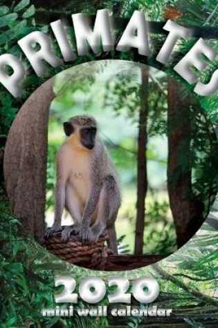 Cover of Primates 2020 Mini Wall Calendar