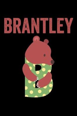 Book cover for Brantley