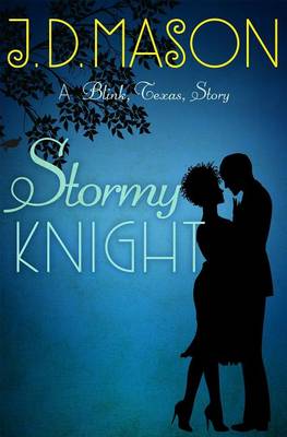 Book cover for Stormy Knight