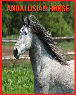 Book cover for Andalusian Horse