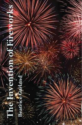 Book cover for The Invention of Fireworks