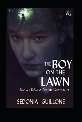 Book cover for The Boy on the Lawn