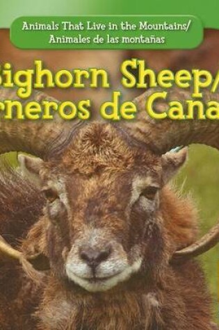 Cover of Bighorn Sheep / Carnero de Canadá
