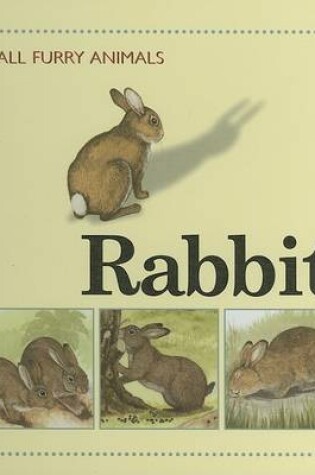 Cover of Rabbit