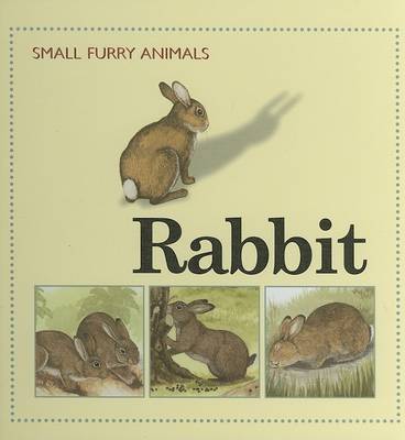 Book cover for Rabbit