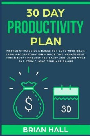 Cover of 30 Day Productivity Plan