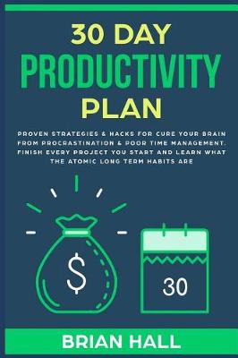 Book cover for 30 Day Productivity Plan