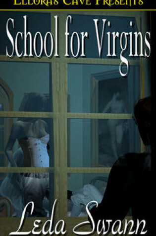 Cover of School for Virgins