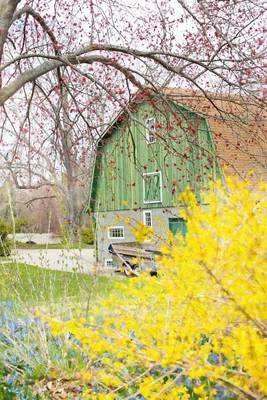 Book cover for Country Barn in the Spring Journal